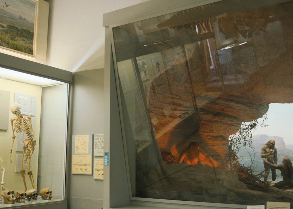 Poduka iz paleontologije