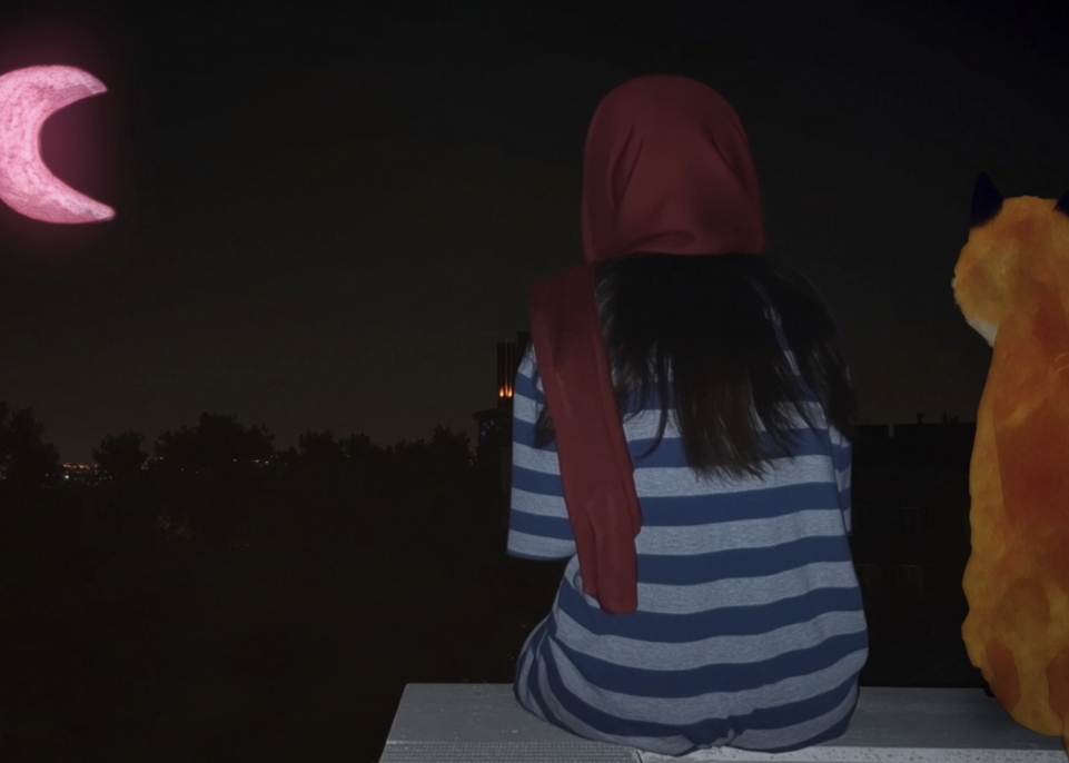 A Fox Under a Pink Moon