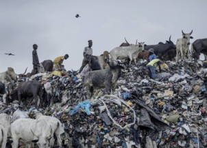 Ground Zero of Fast Fashion 