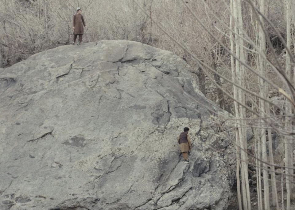 ZagrebDox 2026: Priče koje pune dvorane i osvajaju festivale