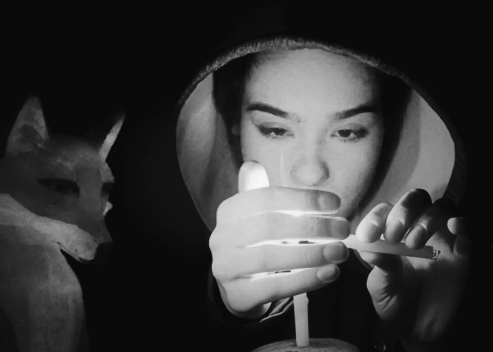 Between Silences and Ovations: Saying Goodbye to the 22nd ZagrebDox Film Festival