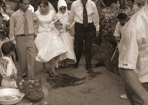 Wedding: A Closet Documentary