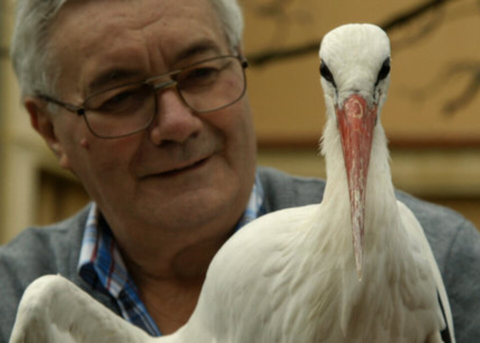 The Old Man And The Stork