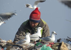 The Landfill